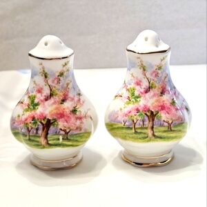 "Blossom Time" Salt and Pepper Shakers by Royal Albert.